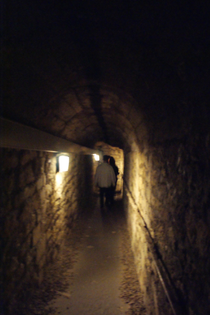 Visite guidée des catacombes de paris Dsc08535