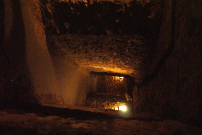 Visite guidée des catacombes de paris Dsc08539