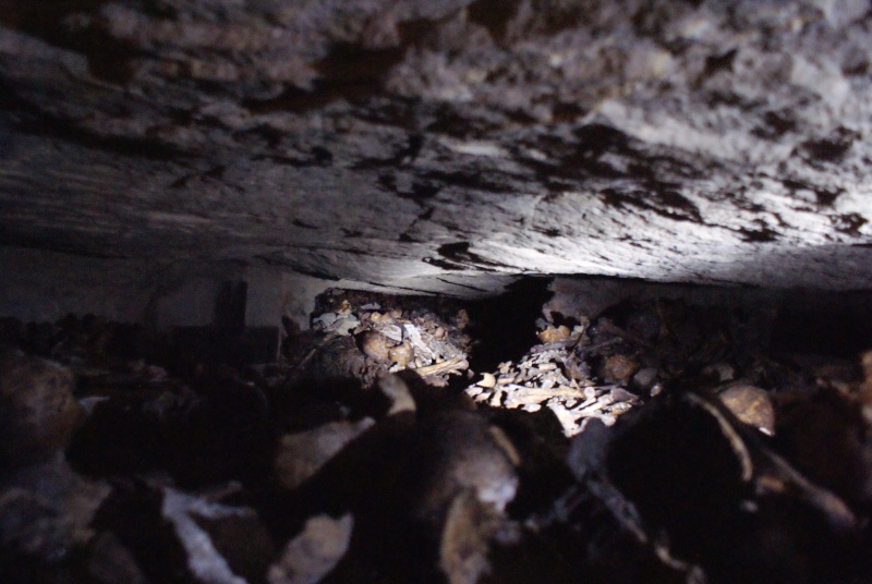 Visite guidée des catacombes de paris Dsc08636