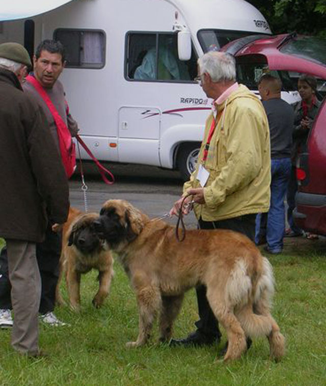 Exposition rgionale d'levage - Bannac 2008 Bannac60