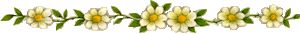 Videothèque Fleur411