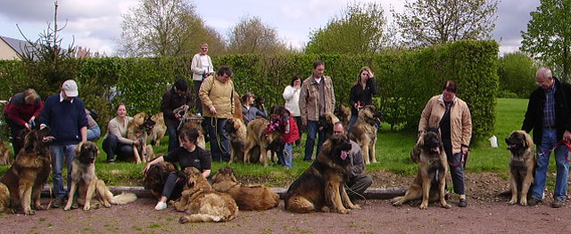 Rencontre Chantelouve du 1er Mai 2008 Photod17