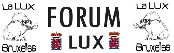 Activités LUX Foruml10