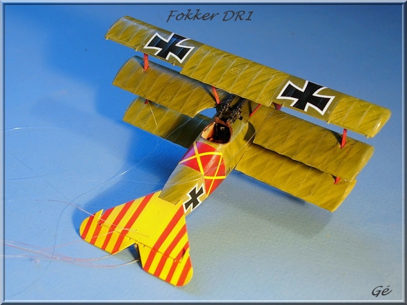 Fokker DR1  [Eduard] 1/48  (fdr1) - Page 2 Dscn0211