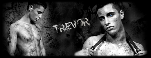 Un kit pour Trevor Trevor13