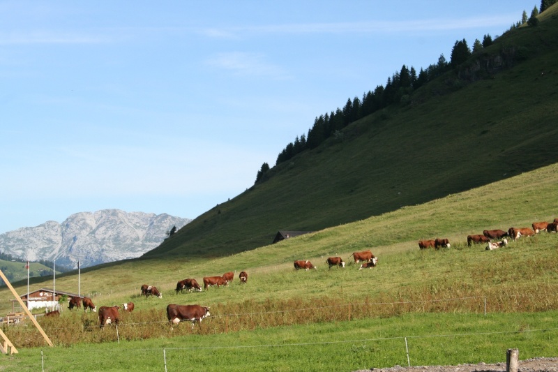 [CR] Demi tour du Mont Blanc Img_4015