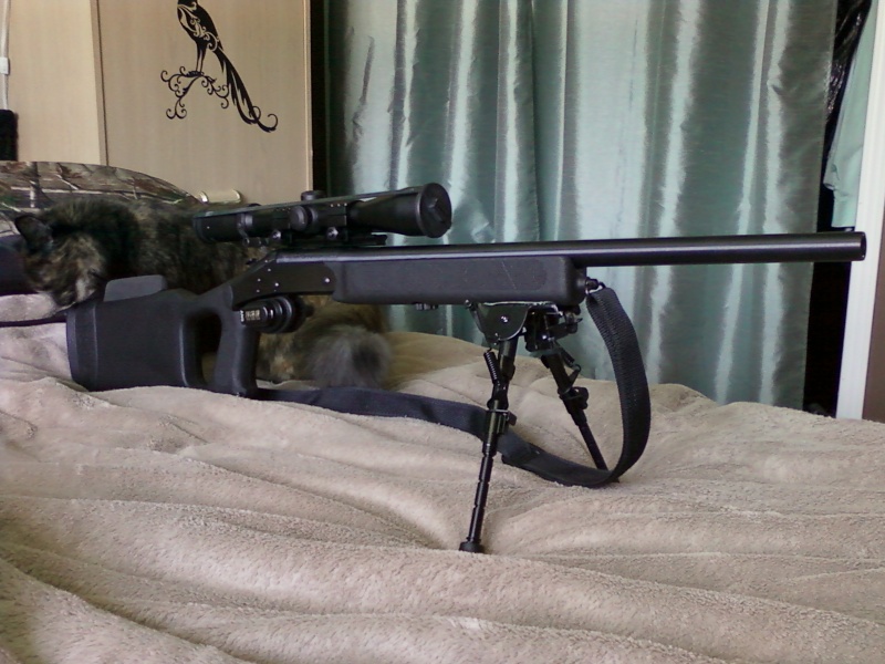 H&R ultra hunter 308211