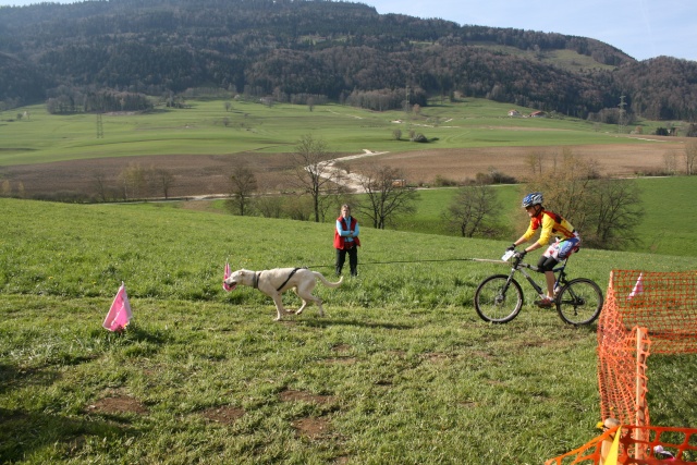 chps suisse de canicross, bike-jo et trotte 110