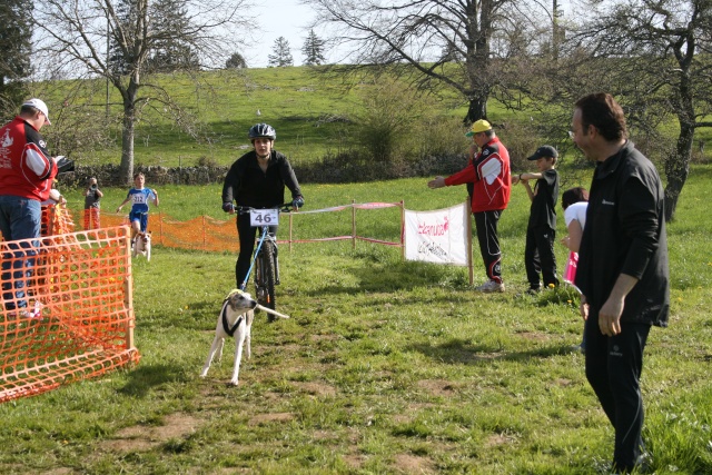 chps suisse de canicross, bike-jo et trotte 1510