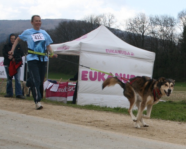 chps suisse de canicross, bike-jo et trotte Img_4123