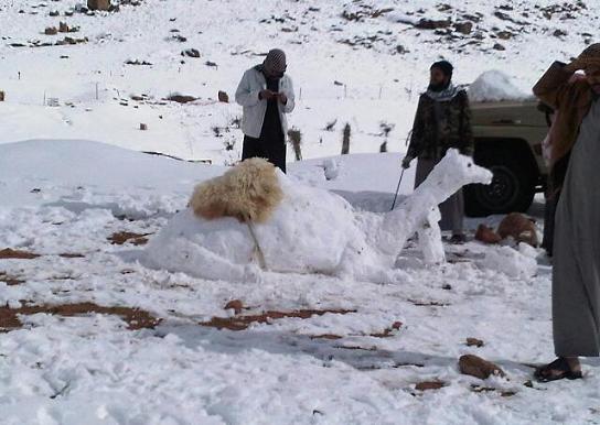 La neige en Tunisie Chamea10