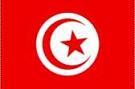 Le drapeau tunisien est piétiné par les salafistes à Tunis [le gouvernement doit demissionner] Images11