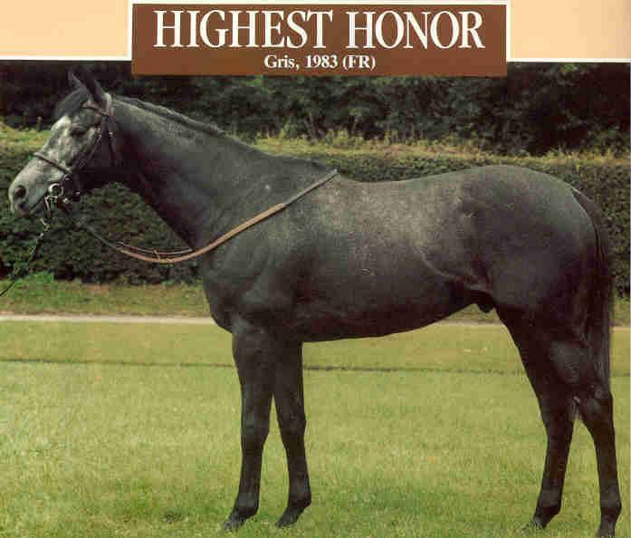 Highest Honor 410