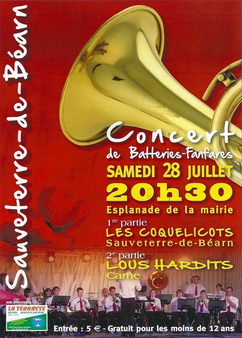 Concert à Sauveterre de Béarn le 28 Juillet 2012 Came0010