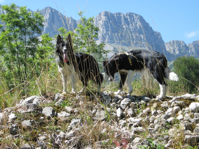 photos - Concours photos : "Nos borders et les constructions typique de nos régions" Gresse10