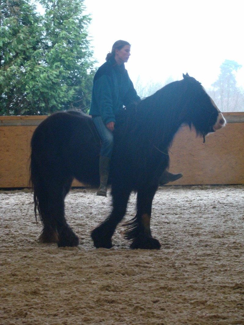 week  end special Forum Passion Irish Cob à Firfol - Page 14 Dsc00344