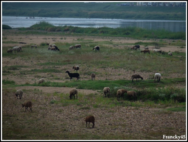 Les paysages P1070915