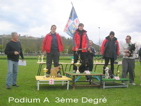 Sélectifs GPF 2008 (finale au Creusot) A_podi10