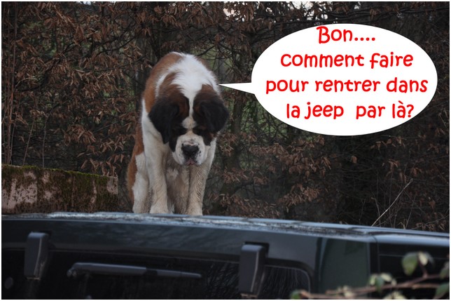 concours n° 27 : En voituuuuuuuuuuure!!!! Copie116