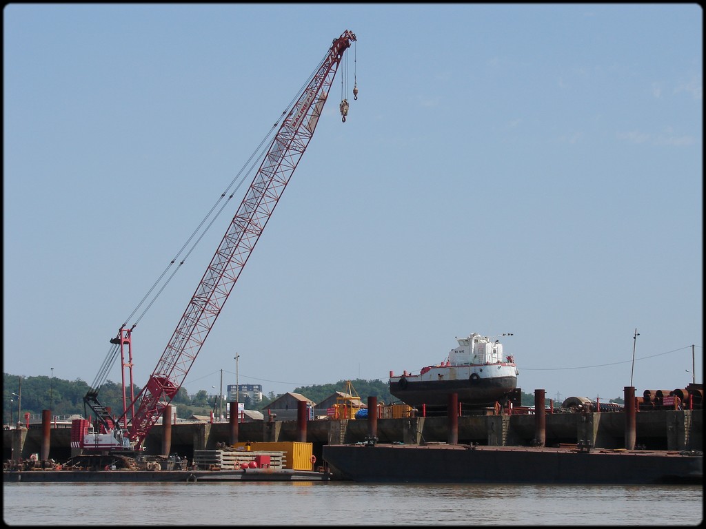 à la recherche des pélicans sur la Garonne... Garonn17