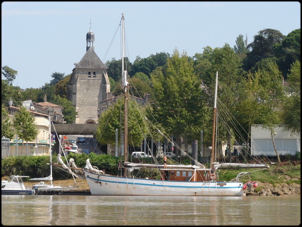 à la recherche des pélicans sur la Garonne... Garonn25