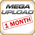 get free rapidshare premium accounts Mega_110