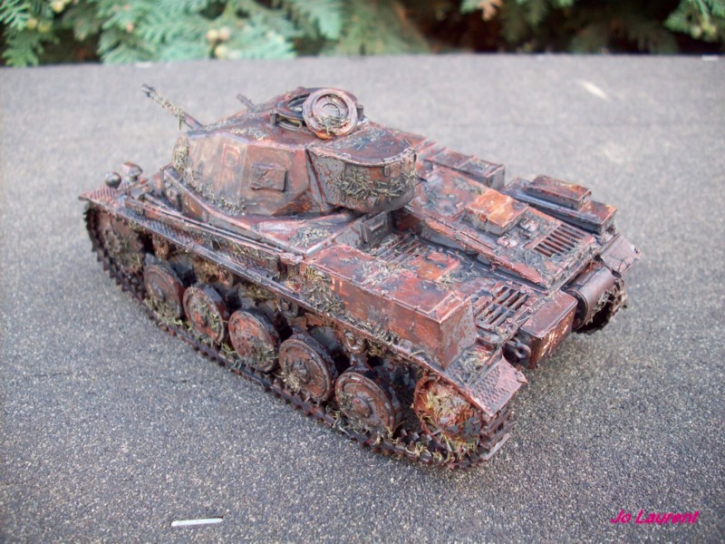 Panzerkampfwagen II 101_2615