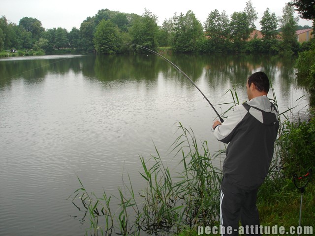 De retour sur les terres belges... Dsc00223