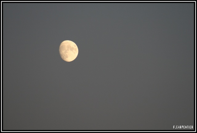 essai de lune nuit tombante Lune310