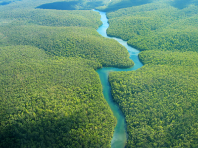 Le symbolisme de la forêt et des arbres dans le folklore Foret-10