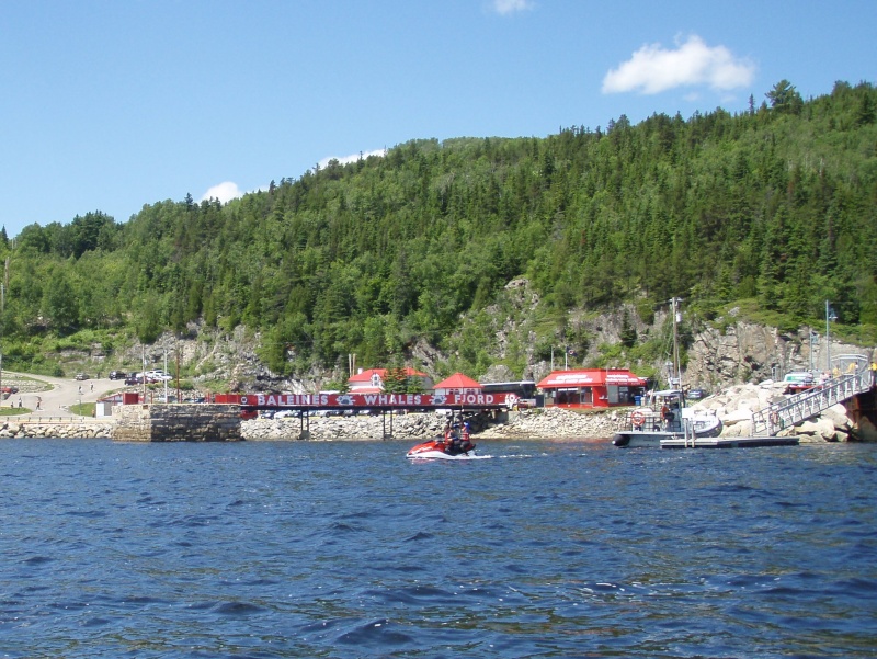fjord du Saguenay 2008 et 2009 P7010212