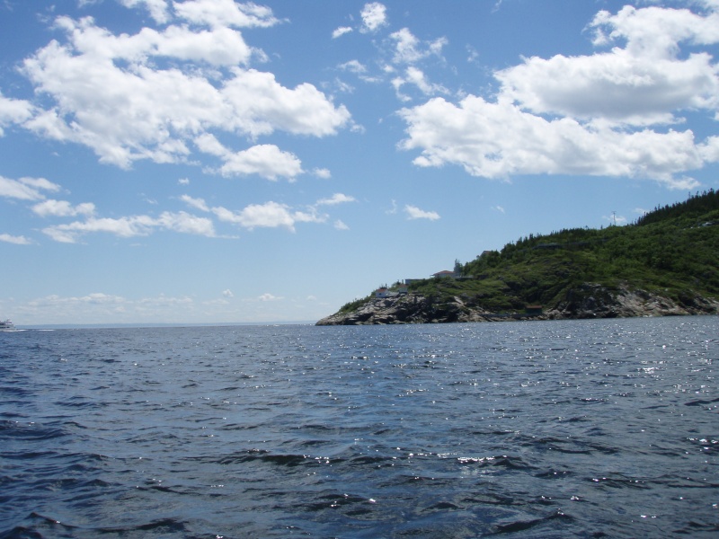 fjord du Saguenay 2008 et 2009 P7010218