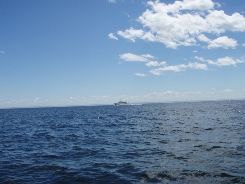 fjord du Saguenay 2008 et 2009 P7010219