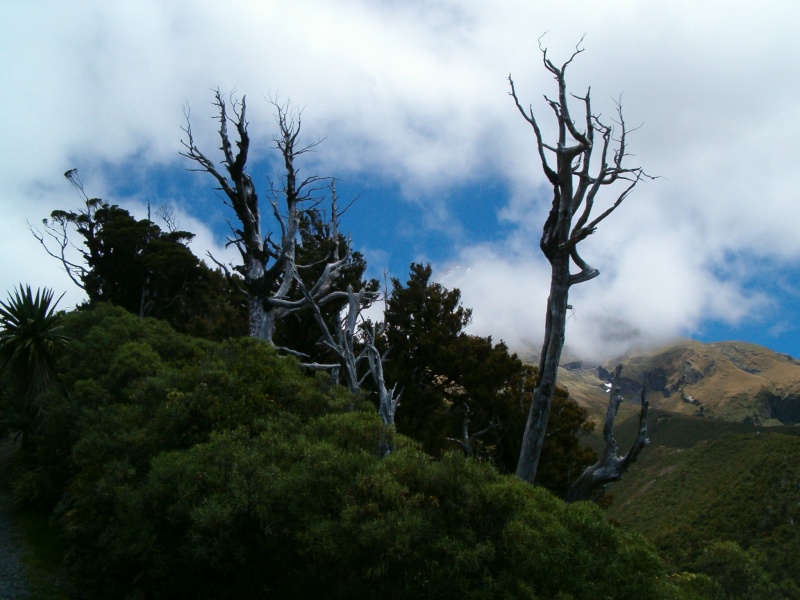 Egmont National Park en Nouvelle-Zlande Vacanc10