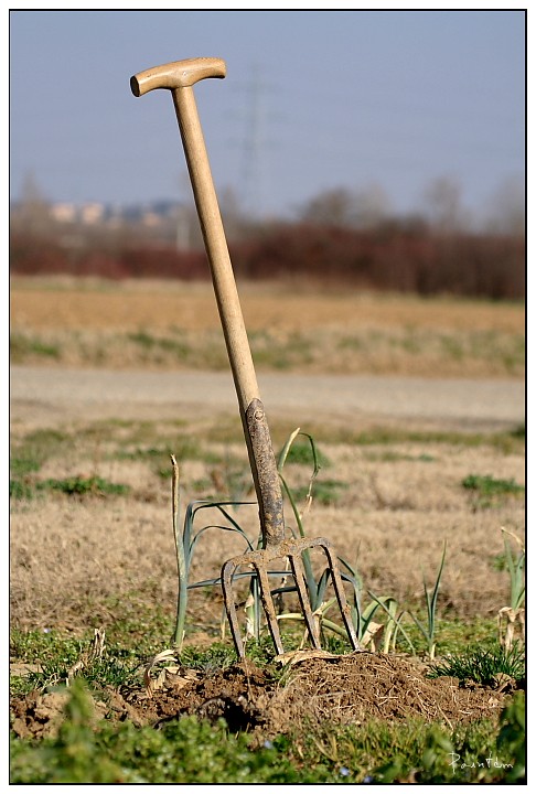 Image imposée N°17 : Objet insolite Pma47413