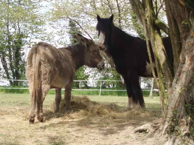 eirhyn a le droit de manger des cacahuétes........... Pa040015