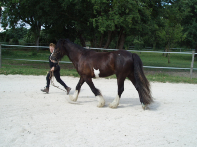 circus - LEUDON CIRCUS SHOW Pc150010