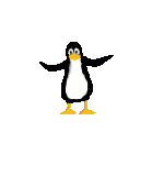 Bon Mardi Pengui10