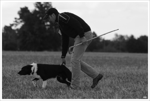 Photos Coupe de France sp border Gyp410