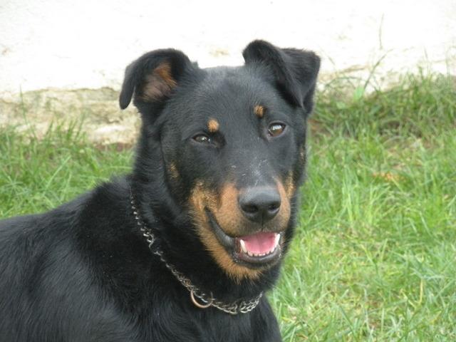 FRESKA -2 ans- 32123010