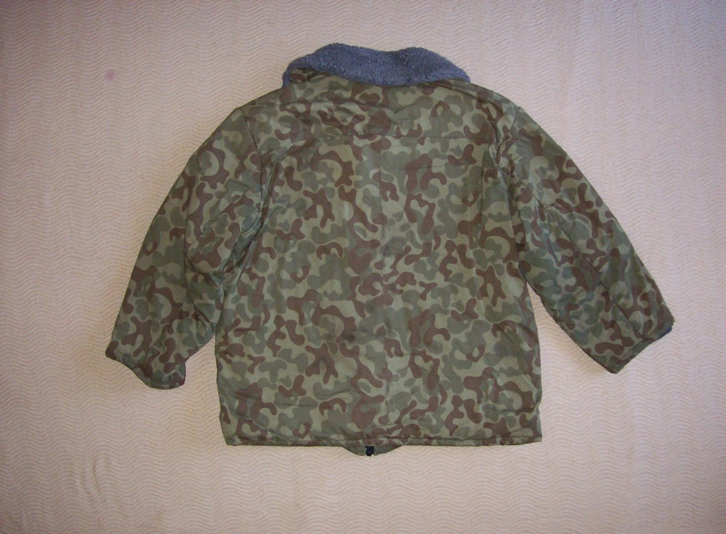 "Moldavian" pattern used by Azebaijan army 100_0211