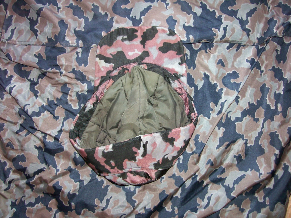 Russian "SMK' camouflage - Page 4 100_1112