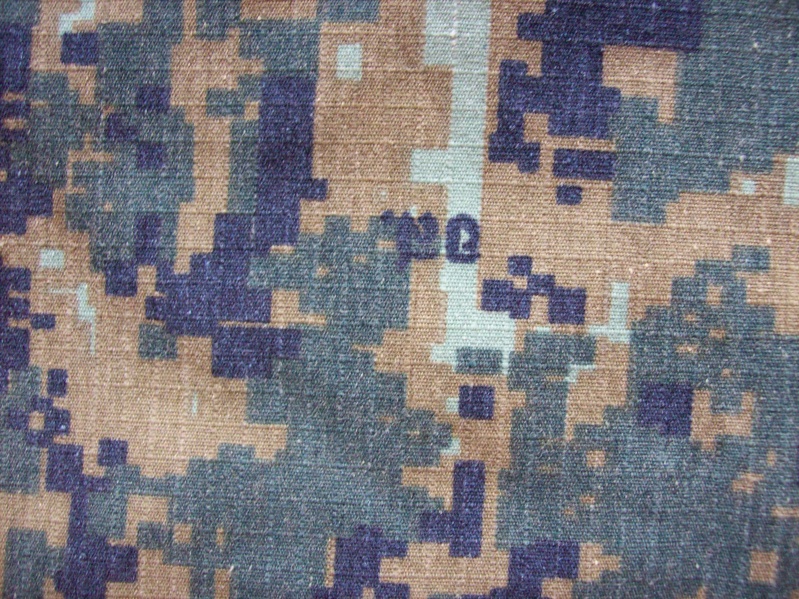 My Thai camouflage - Page 2 100_7212