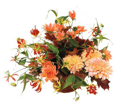 Beaux arrangements de fleurs Bouque12