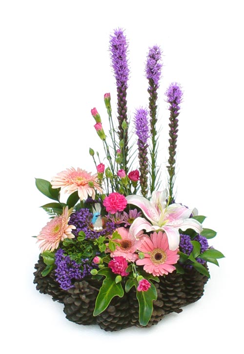 Beaux arrangements de fleurs Ixr8xe10