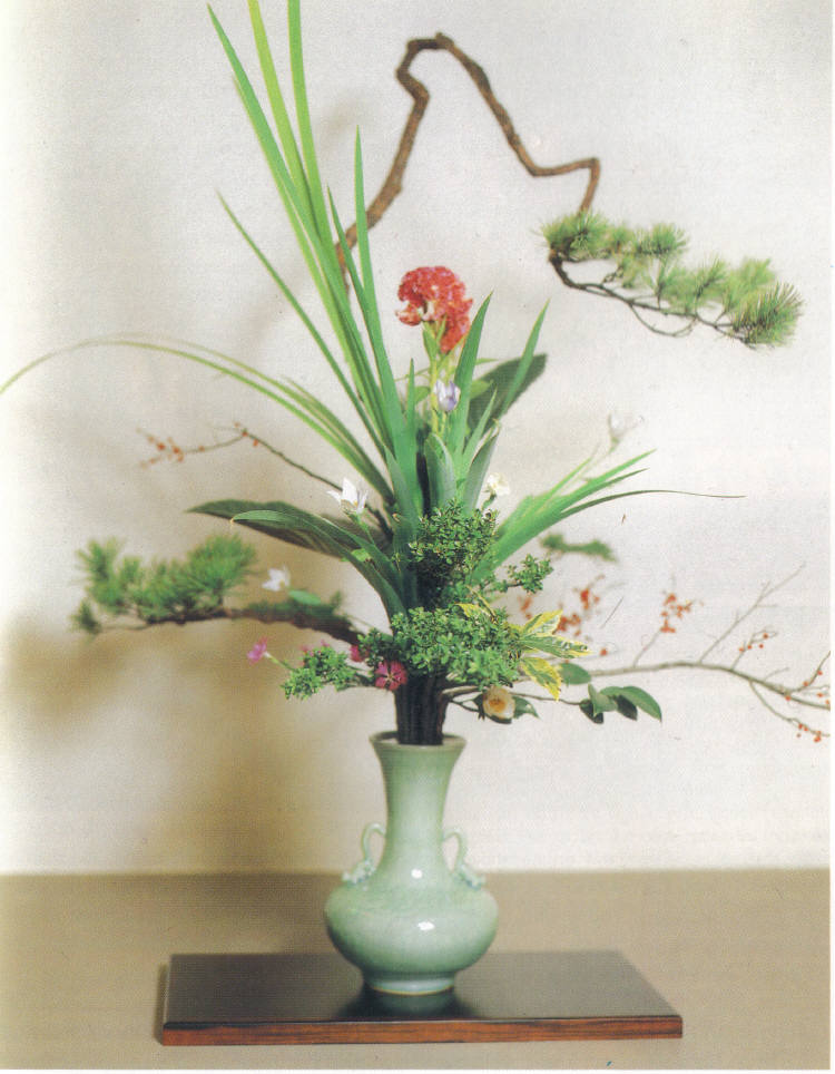 Beaux arrangements de fleurs Rikka210