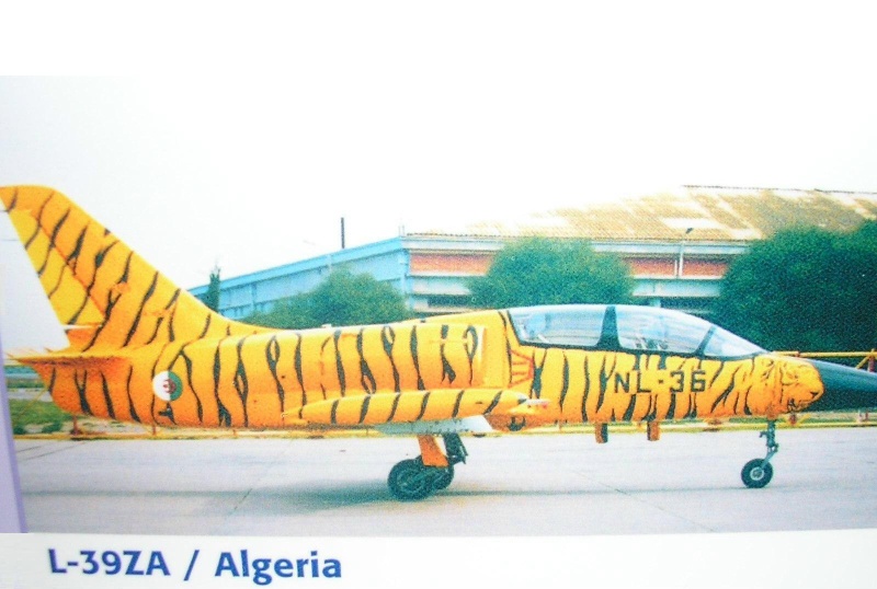 تطوير طائرات في الجزائر Ph_l-311