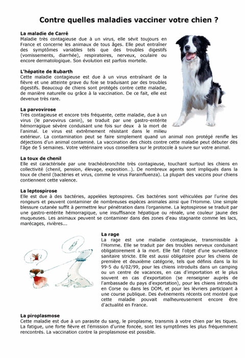 Schéma de la vaccination chez le chien et le chiot Vaccin10