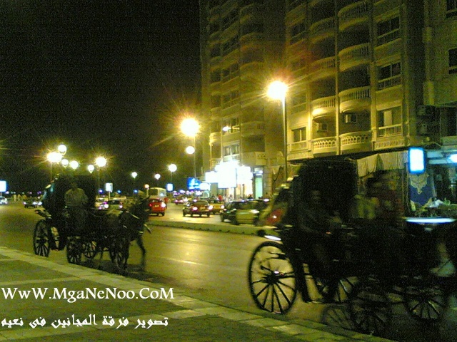 رحلتنا الى اسكندرية وزيارة معالمها السياحية بالصور 20080518