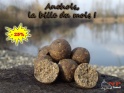 Offre du mois de Mai Offre_24